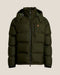Company Olive